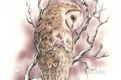 The branch and the owl