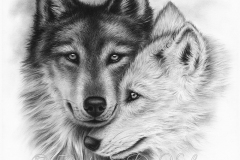 Wolves/Soulmates