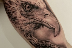 Bald Eagle Tattoo by Zindy Ink