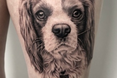 Spanish Cavalier Dog Tattoo by Zindy Ink