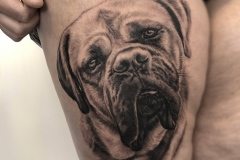 Dog tattoo  Potrait by Zindy Ink