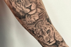 Lion Cubs by Zindy Ink