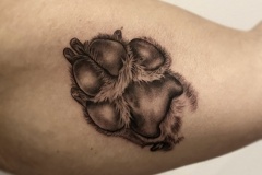 Dog Paw Zindy Ink