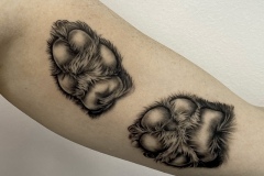 Dog Paws Zindy Ink