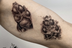 Dog Paws Zindy Ink